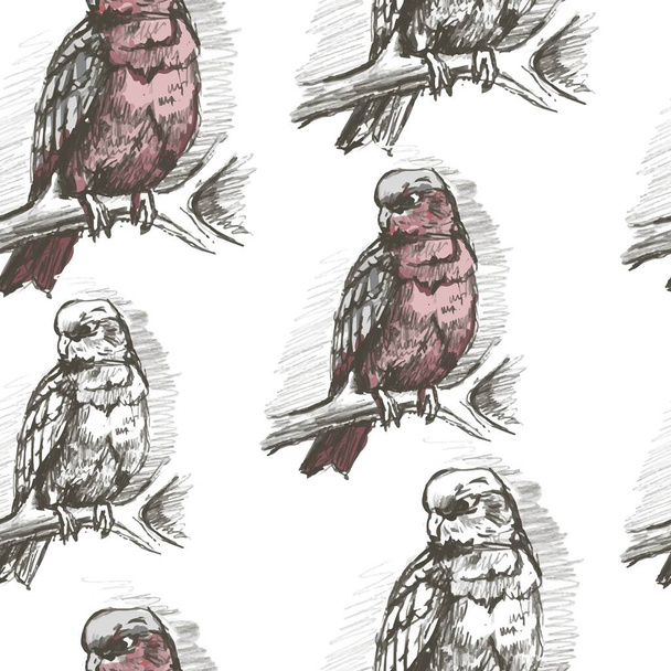 Perroquet oiseau faune jungle illustration graphique dessiné à la main isolé sur fond blanc Beau motif d'oiseaux tropicaux sans couture - Vecteur, image