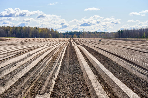 Furrows row pattern in a plowed field prepared for planting crops in spring. - Photo, Image