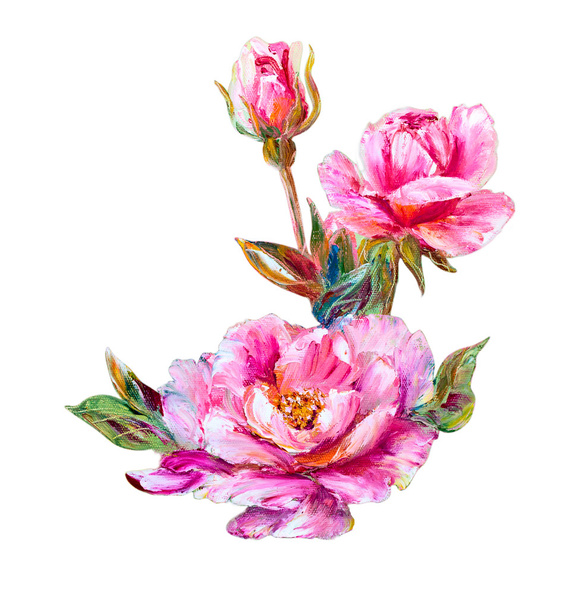 Roses isolated on white, oil painting - Foto, Bild