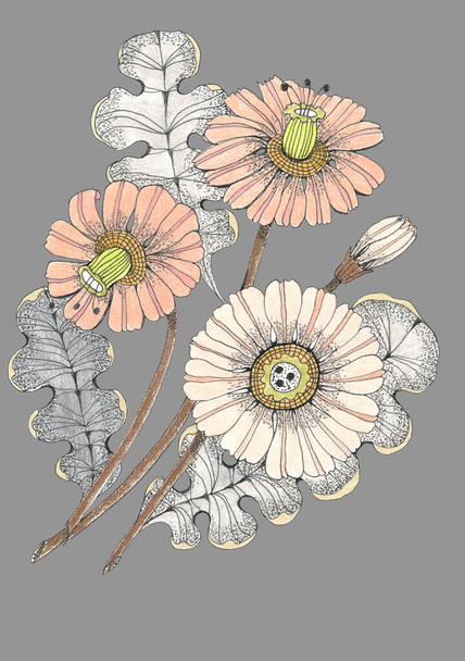 Wzór z akwarelowymi kwiatami gerbera. Kompozycja kwiatowa na papier dekoracyjny i tkaninę. - Zdjęcie, obraz