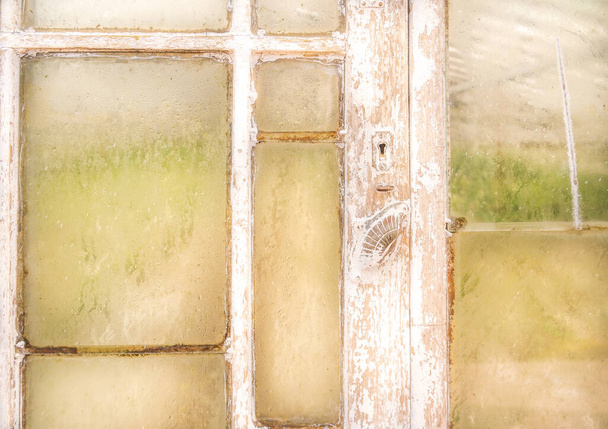 Частина старих чистих дерев'яних дверей в теплицю з помилковими окулярами і цікавою металевою ручкою у формі морської раковини
 - Фото, зображення