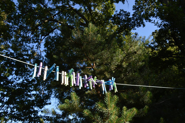 Clothespins outside on the clothesline - Photo, image