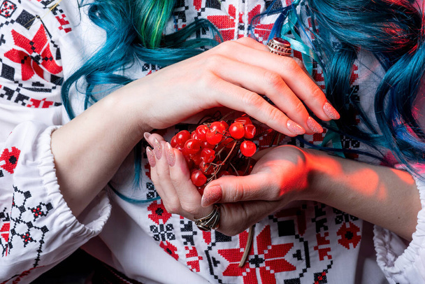viburnum dans les mains d'une jeune Ukrainienne gros plan. broderie blanche. photo en studio avec lumière rouge sur fond noir cheveux bleus. concept folklor - Photo, image