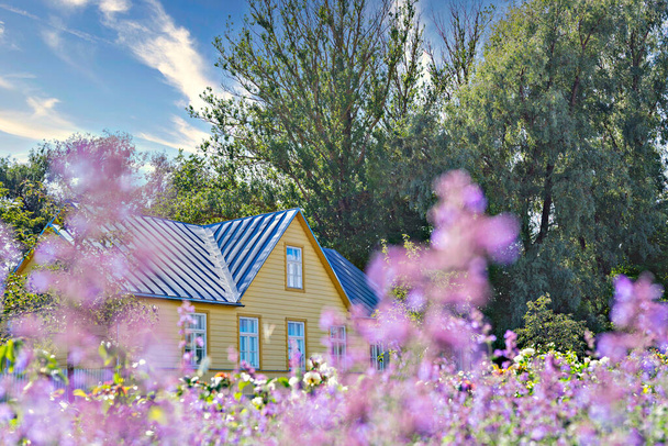 Drowning in flowers summer residence house countryside and blooming purple wildflowers in meadow, low angle view - Photo, Image