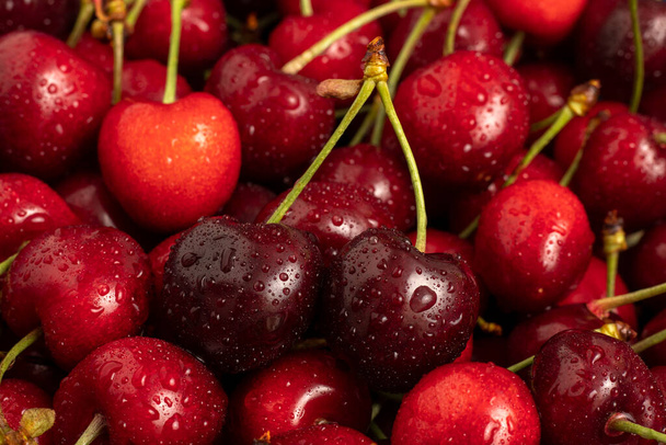 Sweet red cherries with dew close up. - Φωτογραφία, εικόνα