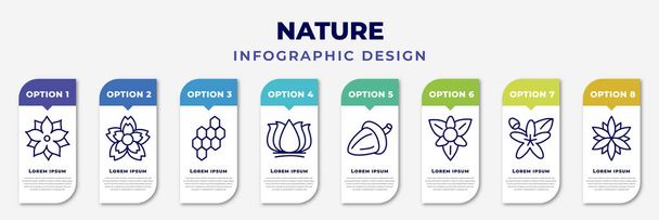 infographic template with icons and 8 options or steps. infographic for nature concept. included pointia, knapweed, hive, lotus flower, oak, gladiolus, neroli, astrantia editable vector. - Vektor, kép