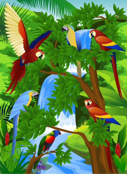 Parrot bird in the forest - Vector, Image