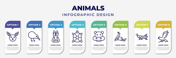 infographic template with icons and 8 options or steps. infographic for animals concept. included jerboa, kiwi bird, hare, tortoise, hippo, nymphicus hollandicus, grasshopper, hawk editable vector. - Vector, Imagen