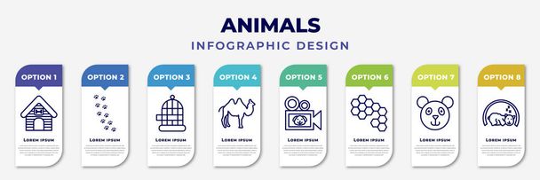 infographic template with icons and 8 options or steps. infographic for animals concept. included kennel, pawprints, cage, humps, documentary, bee hive, chinese panda bear, hibernation editable - Vector, Imagen
