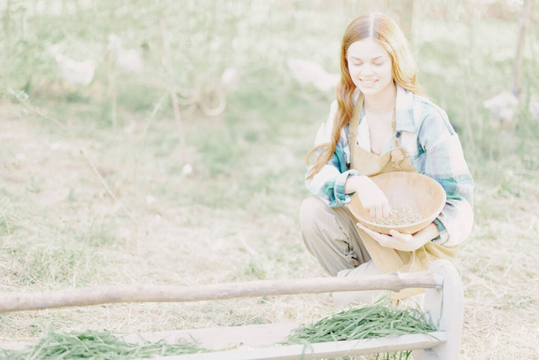 Žena farmář se usmívá a nalévá jídlo pro ptáky do krmítka z misky na venkovní farmě, aby choval zdravé, ekologické kuřata. Kvalitní fotografie - Fotografie, Obrázek