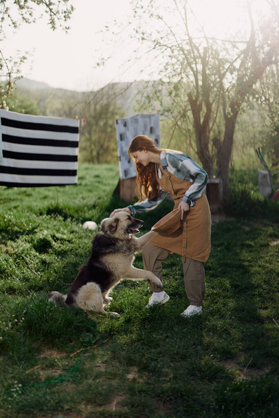 Nainen silitti karvaista koiraansa. maatilan maaseudulla taustaa vasten puhdasta pyykkiä köydellä. Laadukas kuva - Valokuva, kuva