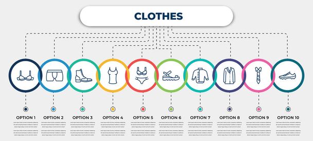 vector infographic template with icons and 10 options or steps. infographic for clothes concept. included bra, underpants, brisk boots, tanktop, bra & knicker, sandals, windbreaker, cardigan, soccer - Vector, Image