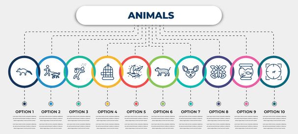 vector infographic template with icons and 10 options or steps. infographic for animals concept. included coati, walking dog, drunk, cage, moon and bats, leopard, chihuahua, buttefly, hunted. - Vector, afbeelding