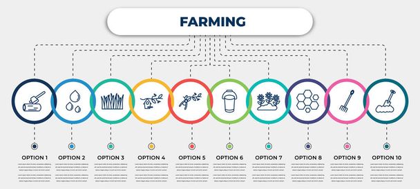 vector infographic template with icons and 10 options or steps. infographic for farming concept. included wood cutting, water drops, lawn, bird house, pruning shears, pail, garden, beehive, dig. - Vektor, obrázek