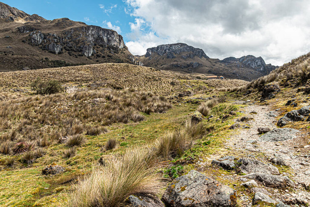 Hiking footpath through the paramo in Cajas National Park, Toreadora recreation zone. South America, Ecuador, Azuay province close to Cuenca - Foto, Imagem
