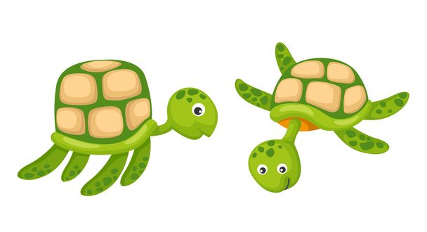two turtle vector - Vector, Image