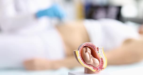 El operador de ultrasonido escanea el vientre de la mujer embarazada joven con sonda de ultrasonido y realización de ultrasonido obstétrico. Concepto de bebé de ultrasonido fetal - Metraje, vídeo