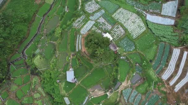Cameron Highlands, Pahang Malasia 30 de mayo de 2022: Vista general del paisaje del distrito de Brinchang en el área de Cameron Highlands de Malasia - Metraje, vídeo