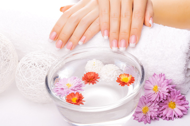 french manicure with colorful chrysanthemum - Fotografie, Obrázek