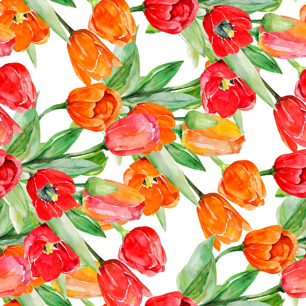 Patrón sin costuras tulipanes rojos.Imagen sobre fondo blanco y coloreado. - Foto, imagen