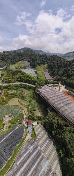 Cameron Highlands, Pahang Malajzia 2022. május 30.: Általános tájkép a brinchangi körzetről a Cameron Highlands Area of Malaysia területén belül - Fotó, kép