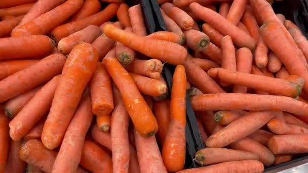 Рынок моркови свежий урожай магазин здоровой пищи диетическая закуска копия космическая еда фон кето или палео диета вегетарианская или вегетарианская еда - Кадры, видео