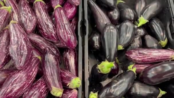 Auberginen frisches Gemüse Portion gesunde Mahlzeit Nahrung Snack auf dem Tisch kopieren Raum Lebensmittel Hintergrund - Filmmaterial, Video