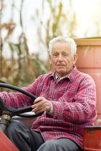 Senior man od tractor - Photo, Image