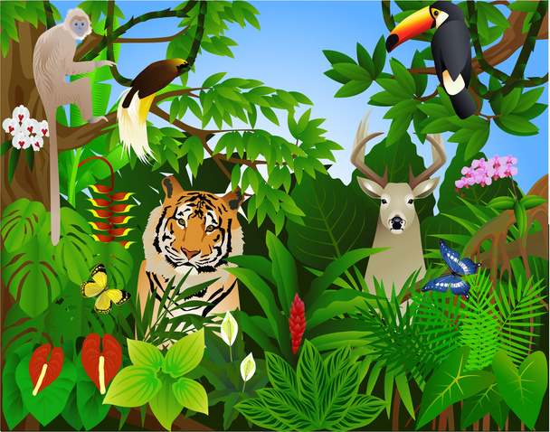tropikalnej dżungli - Wektor, obraz
