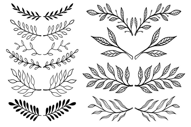 Set of Illustrations of vintage hand drawn floral design elements. Design element for logo, label, sign, poster, t shirt. Vector illustration - Vector, imagen