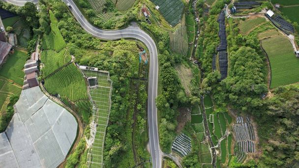Кэмерон Хайлендс, Паханг Малайзия 30 мая 2022 года: Общий ландшафтный вид района Бринчанг в районе Кэмерон Хайлендс в Малайзии - Фото, изображение