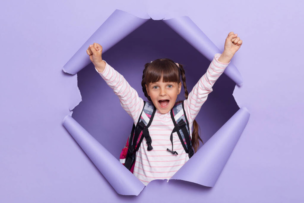 Indoor shot of happy little girl with pigtails wearing striped shirt and with backpack, breaks through purple paper background, raised arms, yelling happily, celebrating her victory, rejoice. - Photo, Image