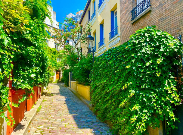Beautiful cozy green street in Paris - Photo, Image