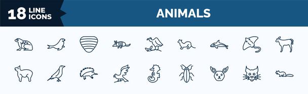 set of animals web icons in outline style. thin line icons such as tropical frop, armadillo, orca, musk, hawk, jerboa, lynx, marten vector. - Vektor, kép