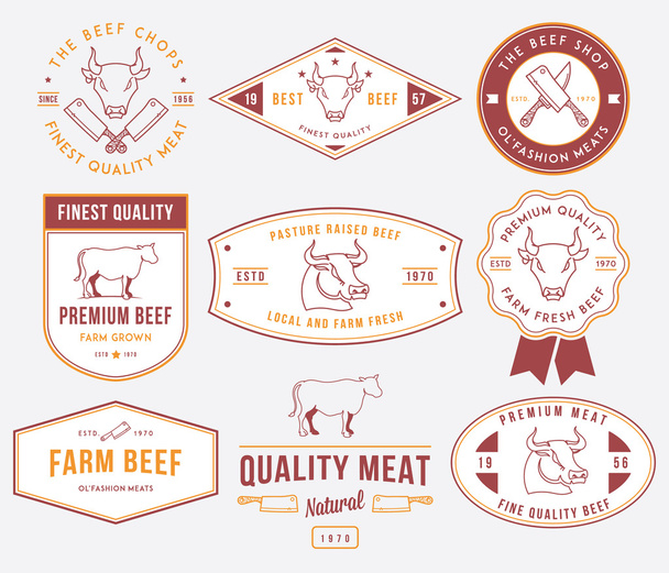 Quality beef meat 2 colored - Vektor, Bild