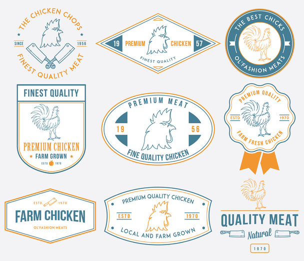Farm grown chicken meat colored - Vector, afbeelding