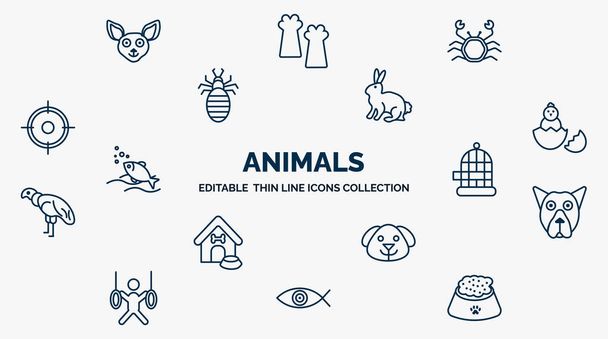 concept of animals web icons in outline style. thin line icons such as chihuahua, crab, sitting rabbit, baby chicken, cage, pit bull, dog head, fish eye, pet food vector. - Vetor, Imagem