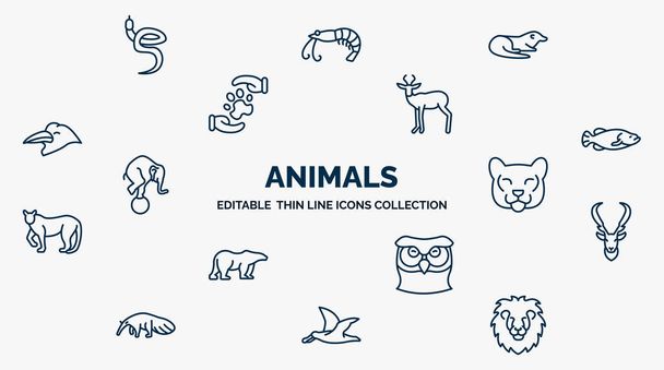 concept of animals web icons in outline style. thin line icons such as blindworm, otter, antelope, big fish, cougar, elk, big owl, albatross, lion head vector. - Vector, Imagen