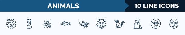 set of 10 animals web icons in outline style. thin line icons such as lion, llama, fly, zander, gold fish, wolf, lemur, female sheep vector illustration. - Vector, afbeelding