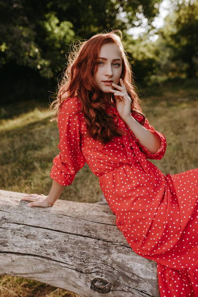 Pretty young adult woman in a red dress with white dots with red hair sitting on a dry fallen tree and posing on a camera. Female model touching her hair, head and face - Foto, afbeelding