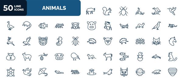 set of 50 animals web icons in outline style. thin line icons such as wildebeest, humming bird, ferret, raven, sea horse, moth, cocoon, shoal, sea lion, marten, wolverine vector. - Vektör, Görsel