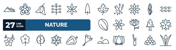 set of nature web icons in outline style. thin line icons such as snowslide, mimosa, maple, hyacinth, , pointia, peppermint, hills vector. - Vetor, Imagem