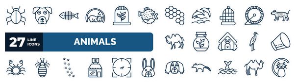 set of animals web icons in outline style. thin line icons such as app bug, hibernation, bee hive, hamster ball, terrarium, elizabethan collar, pawprints, pekingese vector. - Vector, Image