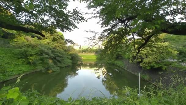 Tokio Chidorigafuchi am frühen Morgen 2022 - Filmmaterial, Video