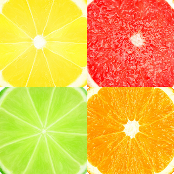 Citrus - Photo, Image