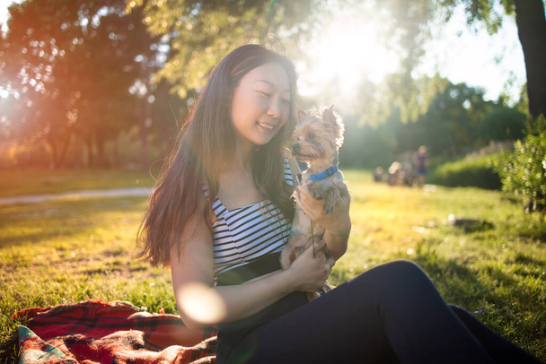 Junge schöne lächelnde Asiatin mit kleinem Hund, Yorkshire Terrier, gegen das Grün des Sommerparks bei Sonnenuntergang. - Foto, Bild