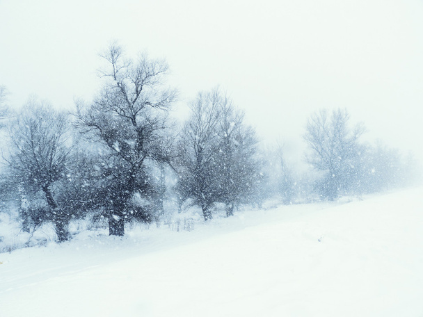 Kış saati - Fotoğraf, Görsel