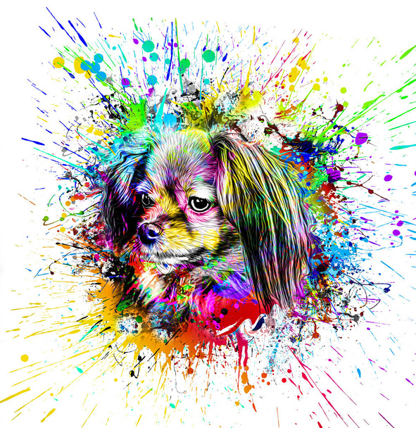 abstrakti värillinen koira kuono eristetty värikäs tausta väri art - Valokuva, kuva