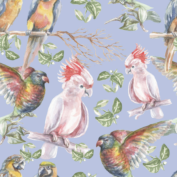 Papuga tropikalne ptaki akwarela ilustracja ręcznie rysowane gałązki dżungli liście jasne kolorowe ptaki macaw kakadu natura - Zdjęcie, obraz