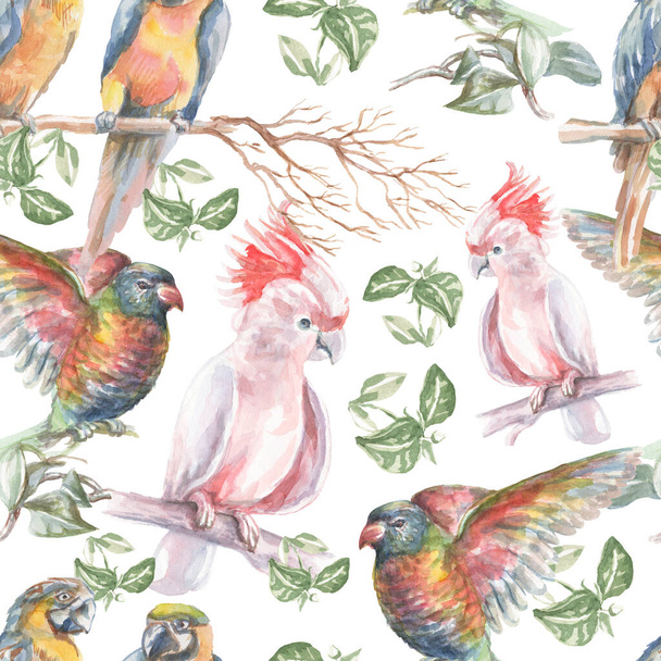 Loro aves tropicales acuarela ilustración mano dibujado ramitas de la selva hojas brillante colorido aves guacamayo cacatúa naturaleza - Foto, imagen